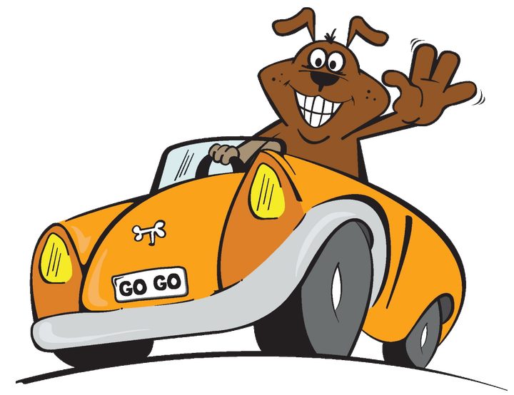 Get a Go Go mascot waving from an orange car